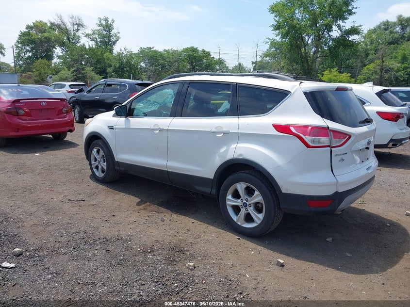 AtlanticExpress - Ford Escape