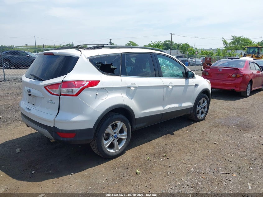 AtlanticExpress - Ford Escape
