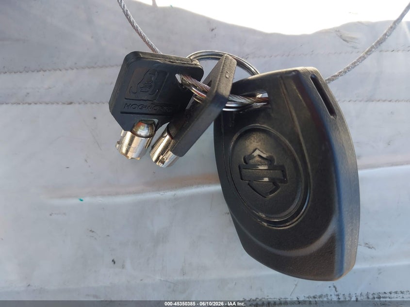 2025 Harley-Davidson Fltrx VIN: 1HD1KH715SB623616 Lot: 45350385