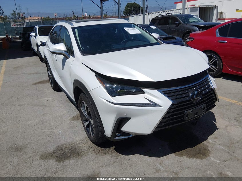 2021 LEXUS NX 300  (VIN: JTJGARBZ5M5022948)