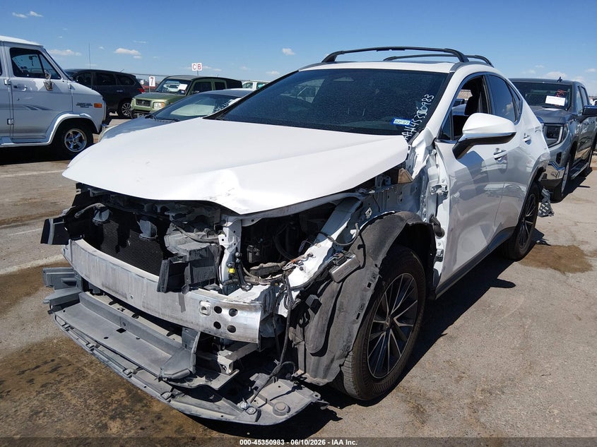 2025 Lexus Nx 250 Premium 2T2GDCAZXSC025400 photo 1