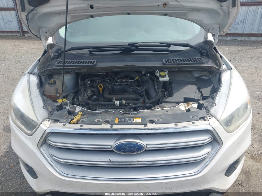 AtlanticExpress - Ford Escape