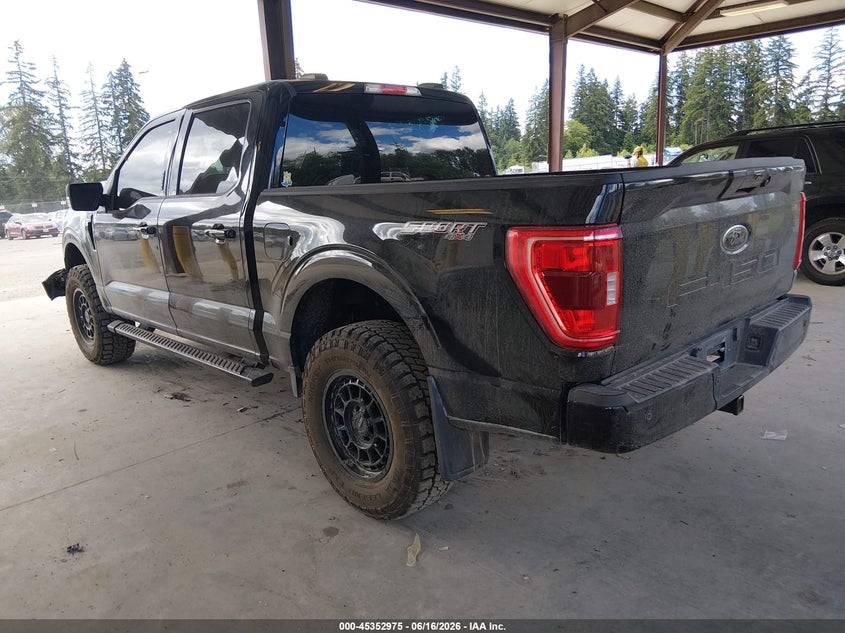 AtlanticExpress - Ford F-150