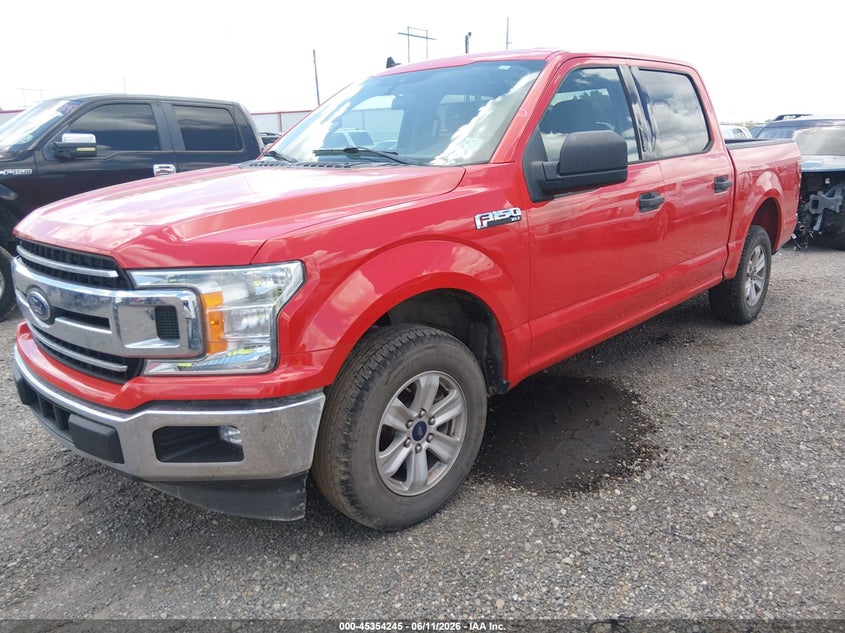 1FTEW1C46KKC52643 2019 Ford F-150 Xlt photo 1
