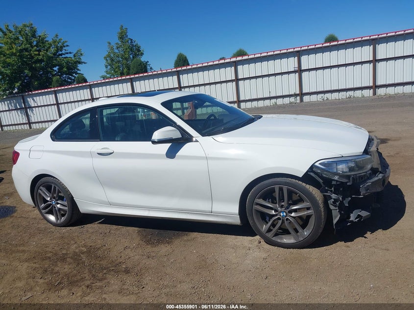 2016 BMW 228I VIN: WBA1F9C58GV545260 Lot: 45355901