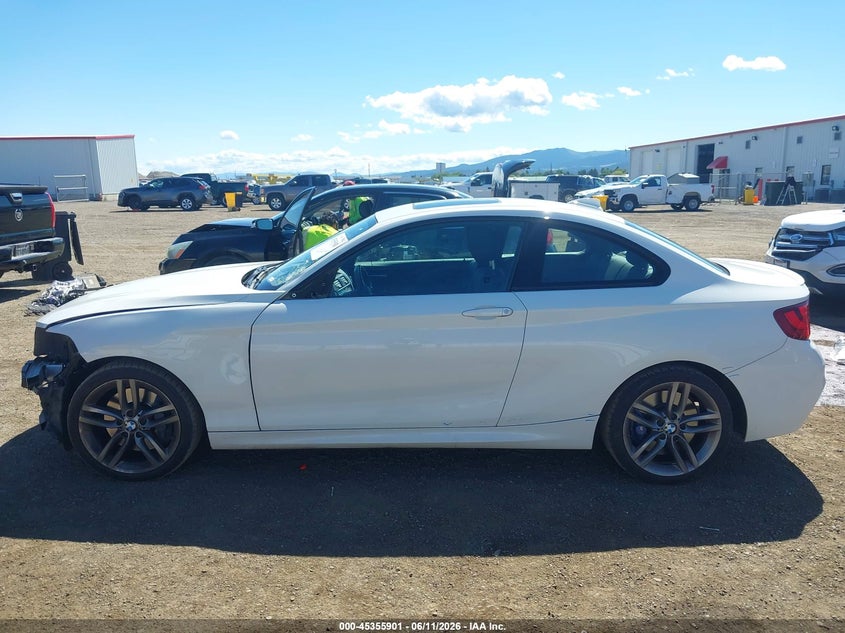 2016 BMW 228I VIN: WBA1F9C58GV545260 Lot: 45355901