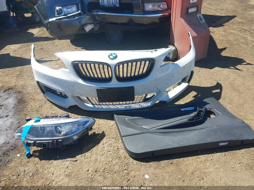 2016 BMW 228I VIN: WBA1F9C58GV545260 Lot: 45355901