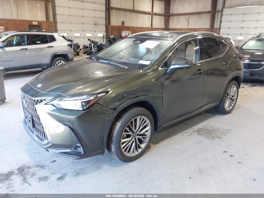 2026 LEXUS NX 350H auction photo 2