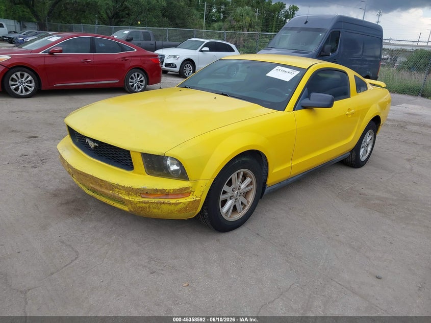 2005 Ford Mustang V6 Deluxe/V6 Premium 1ZVFT80N755175249 photo 1