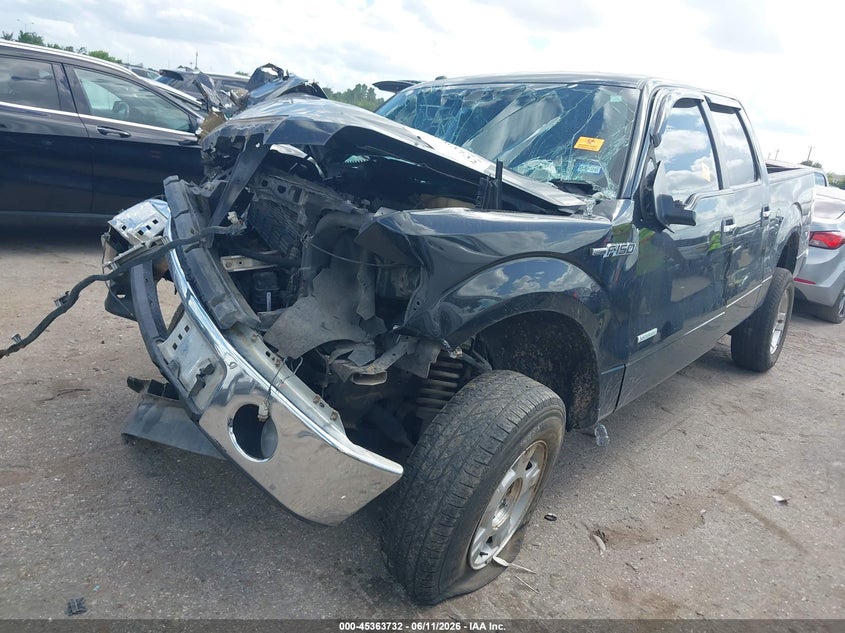 Vin: 1ftfw1etxdfd98936, lot: 45861693, ford f-150 xlt 20132