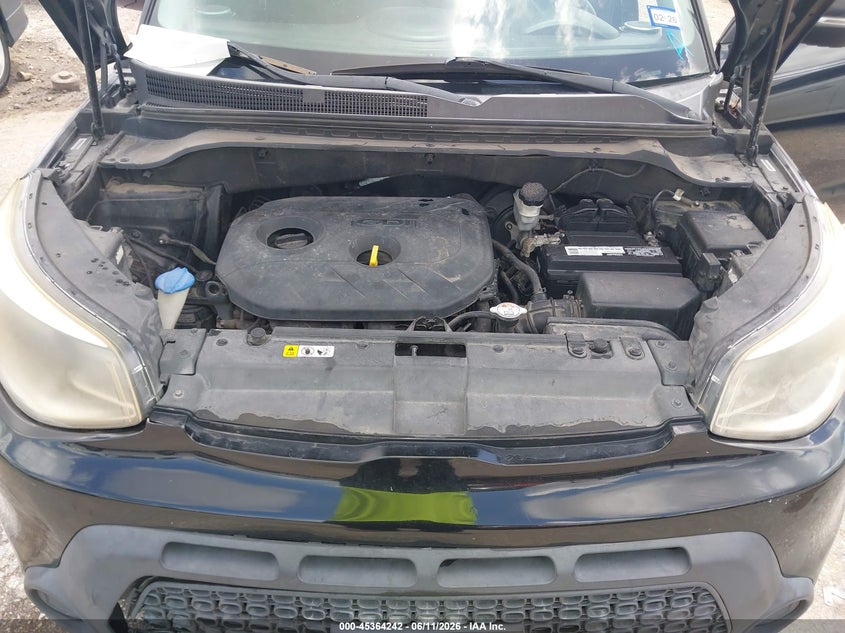 AtlanticExpress - Kia Soul