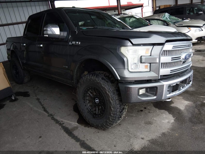 2015 Ford Platinum
