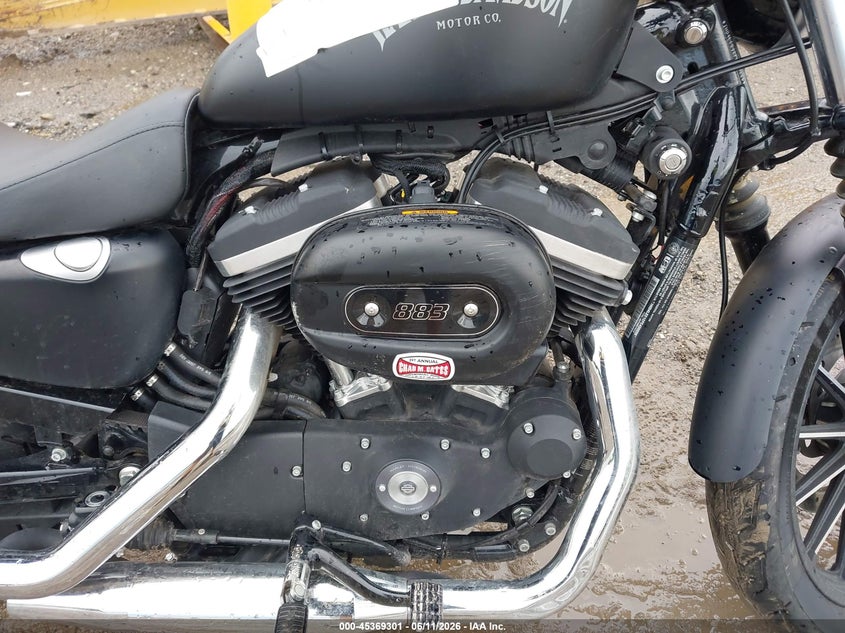 2015 Harley-Davidson Xl883 Iron 883 VIN: 1HD4LE212FC430226 Lot: 45369301