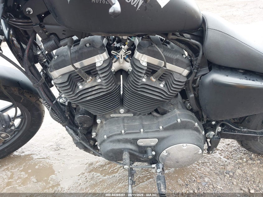 2015 Harley-Davidson Xl883 Iron 883 VIN: 1HD4LE212FC430226 Lot: 45369301