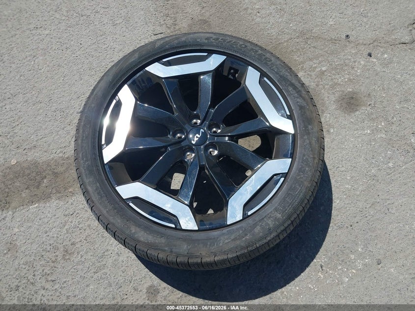 2024 Kia Telluride Ex VIN: 5XYP3DGC6RG524466 Lot: 45372553