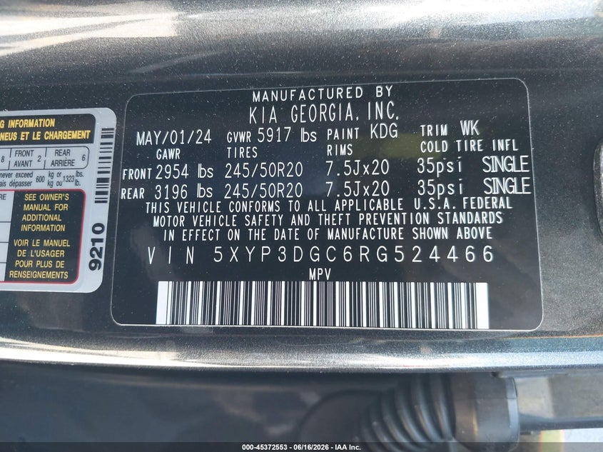 2024 Kia Telluride Ex VIN: 5XYP3DGC6RG524466 Lot: 45372553