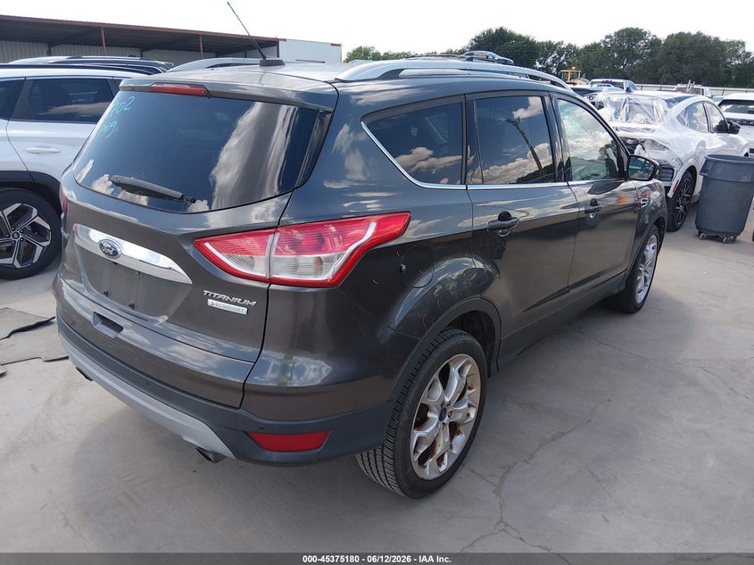 AtlanticExpress - Ford Escape