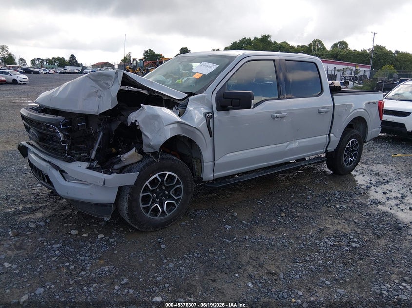 Vin: 1ftew1ep0pke43697, lot: 45874293, ford f-150 xlt 20232