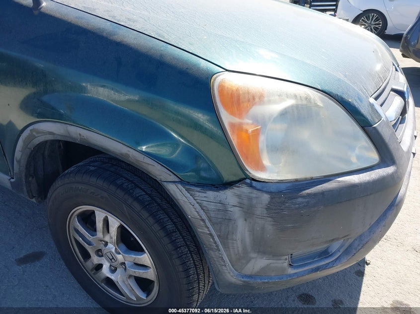 Nuotrauka 6