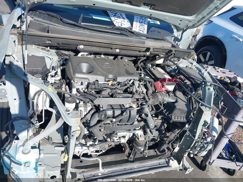 VIN 2T3W1RFV8MW163057 2021 TOYOTA RAV4 XLE