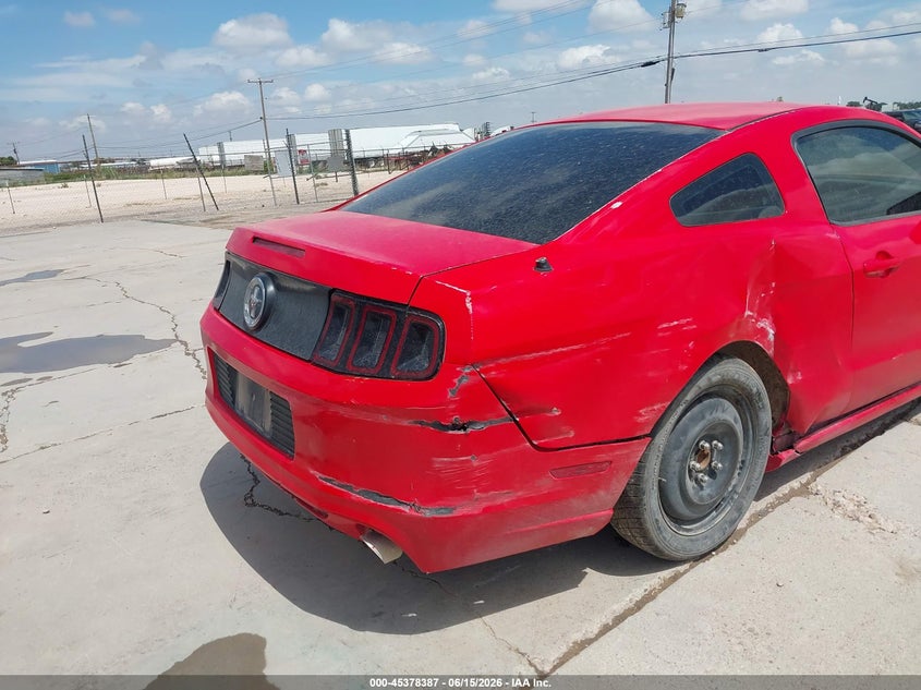 AtlanticExpress - Ford Mustang