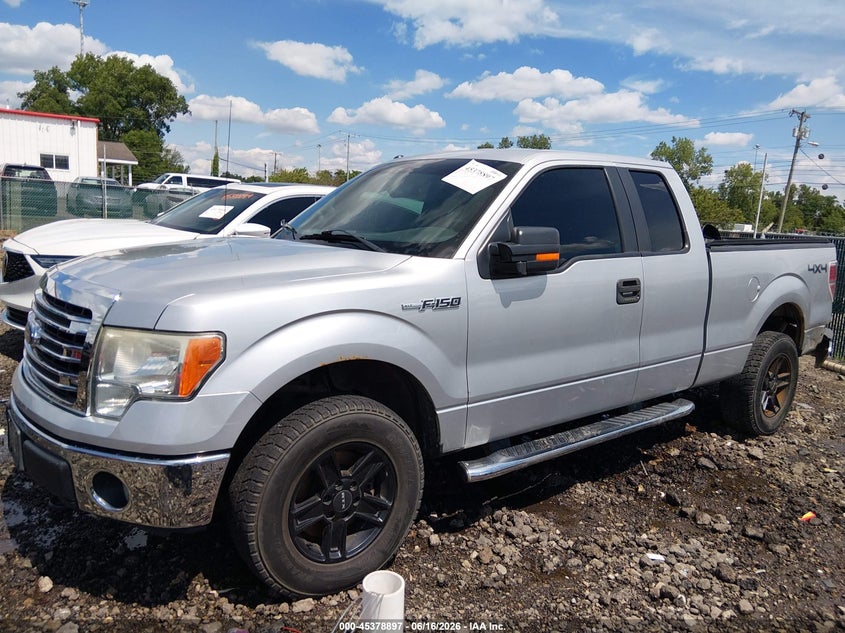 Vin: 1ftfx1ef7efa20615, lot: 45876883, ford f-150 xlt 20142