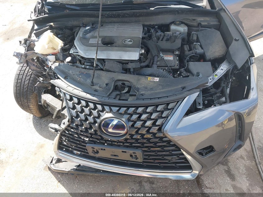 2019 Lexus Ux 250H VIN: JTHU9JBH4K2005286 Lot: 45380315