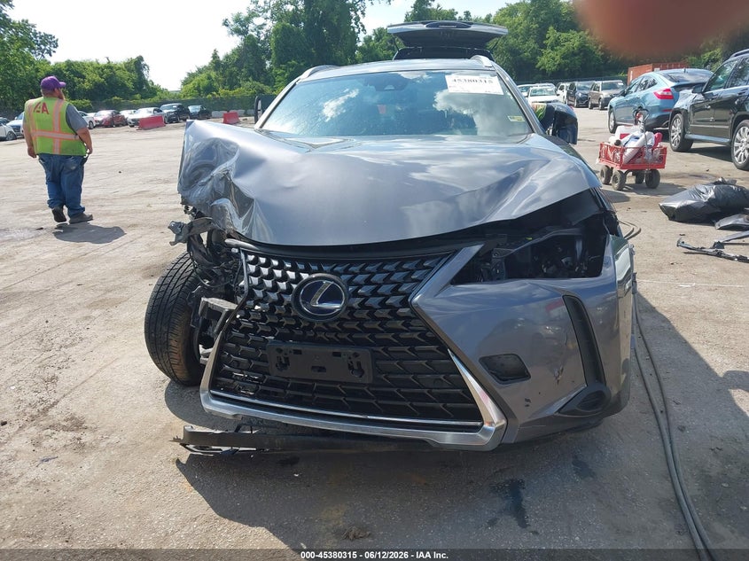 2019 Lexus Ux 250H VIN: JTHU9JBH4K2005286 Lot: 45380315