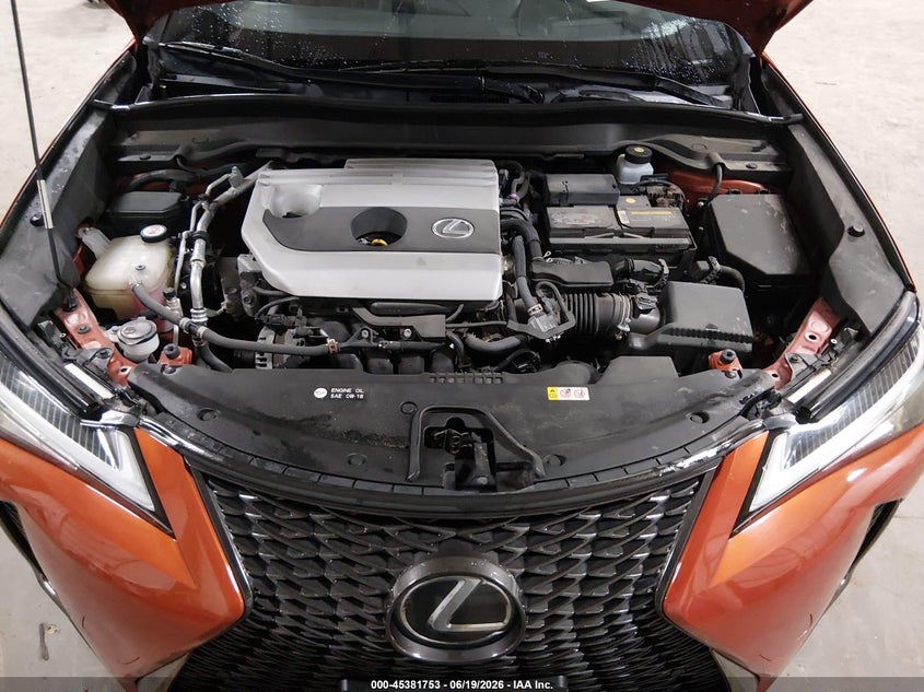 2019 Lexus Ux 200 F Sport VIN: JTHY3JBH5K2005350 Lot: 45381753
