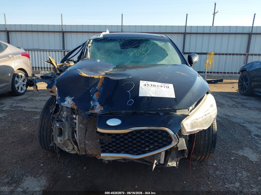 2014 Kia Cadenza Premium VIN: KNALN4D79E5120643 Lot: 45382970