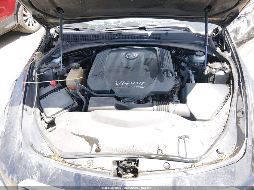 Nuotrauka 10