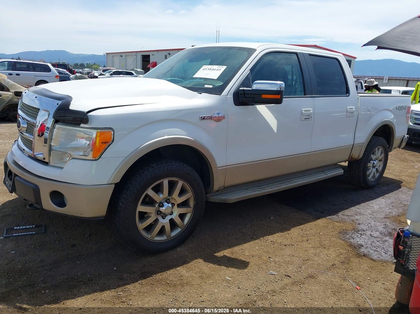 2009 Ford F-150 Fx4/King Ranch/Lariat/Platinum/Xl/Xlt 1FTPW14V79KA66653 photo 1