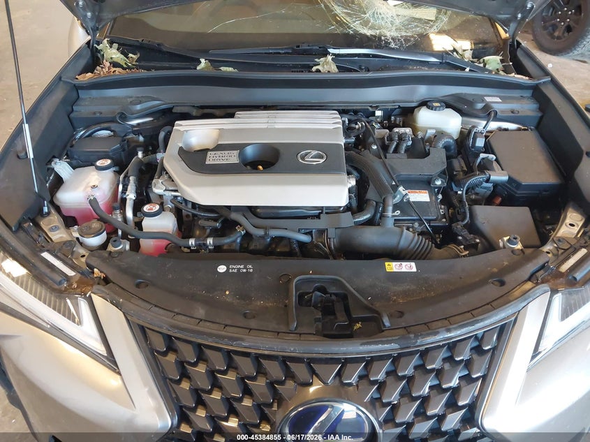 2019 Lexus Ux 250H VIN: JTHU9JBH7K2006383 Lot: 45384855