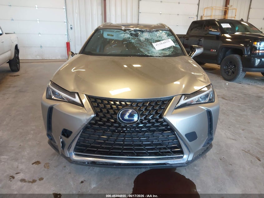2019 Lexus Ux 250H VIN: JTHU9JBH7K2006383 Lot: 45384855