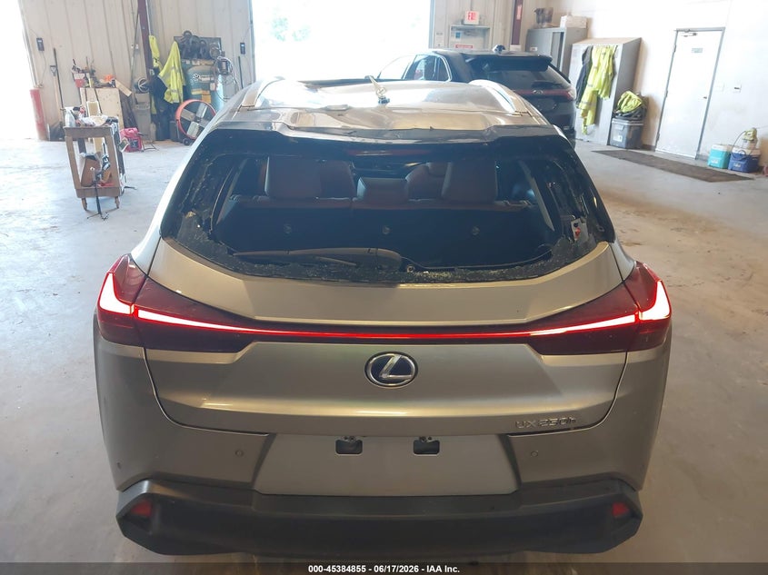 2019 Lexus Ux 250H VIN: JTHU9JBH7K2006383 Lot: 45384855
