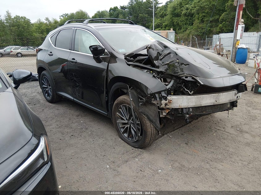 2024 LEXUS NX 350 auction photo 1