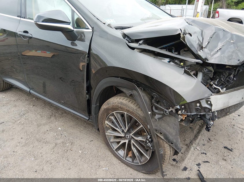 2024 LEXUS NX 350 auction photo 6