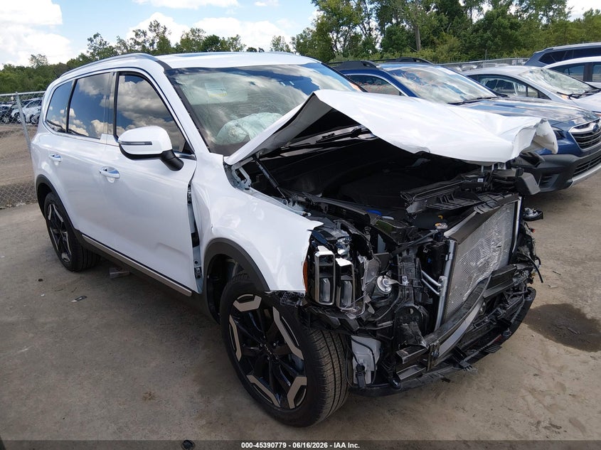 2025 KIA TELLURIDE  (VIN: 5XYP6DGC8SG710474)