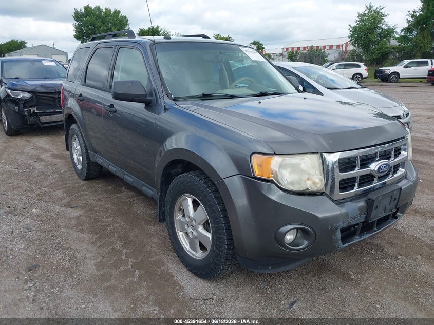 2011 FORD ESCAPE XLT