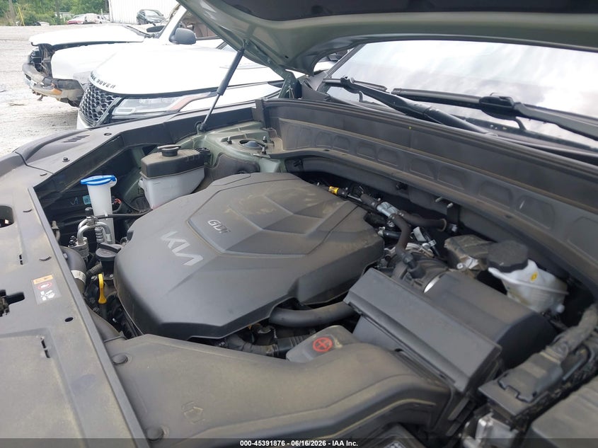 2024 Kia Telluride Ex X-Line VIN: 5XYP3DGC9RG547157 Lot: 45391876