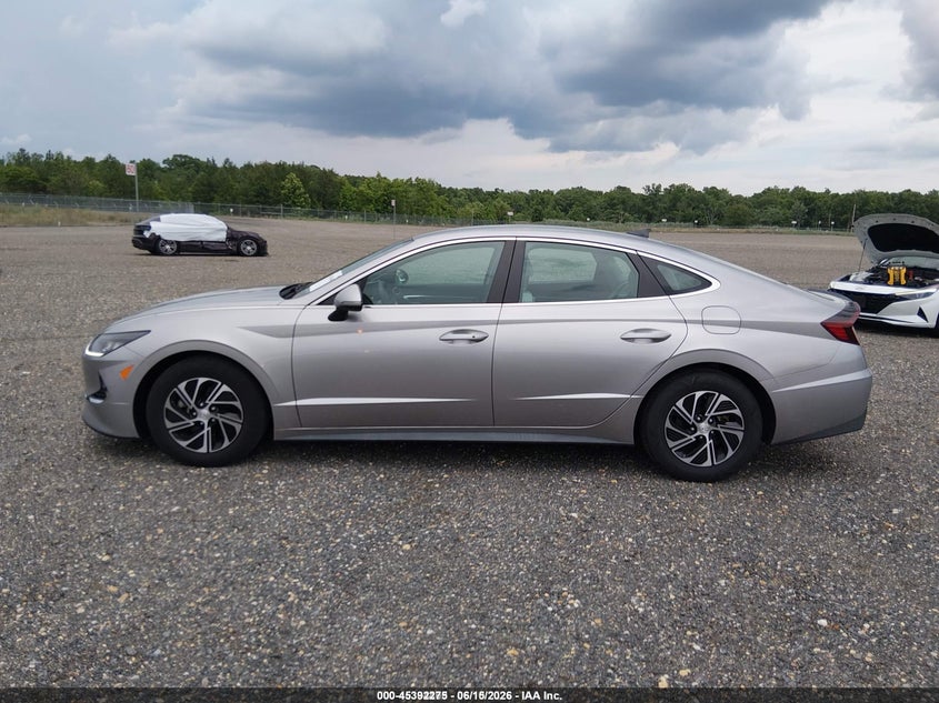 AtlanticExpress - Hyundai Sonata