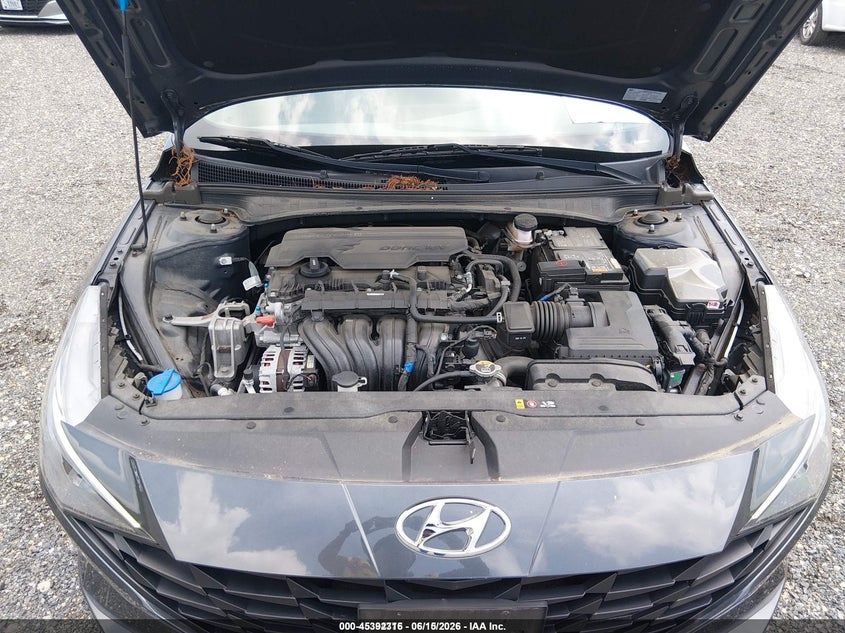 AtlanticExpress - Hyundai Elantra