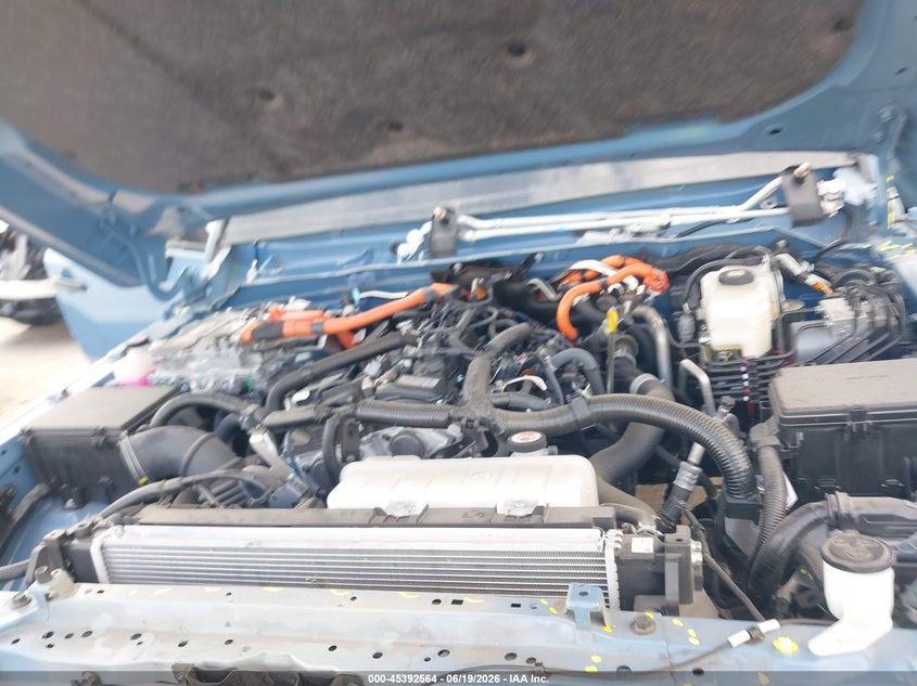 2025 Toyota Land Cruiser VIN: JTEABFAJ6SK037081 Lot: 45392564