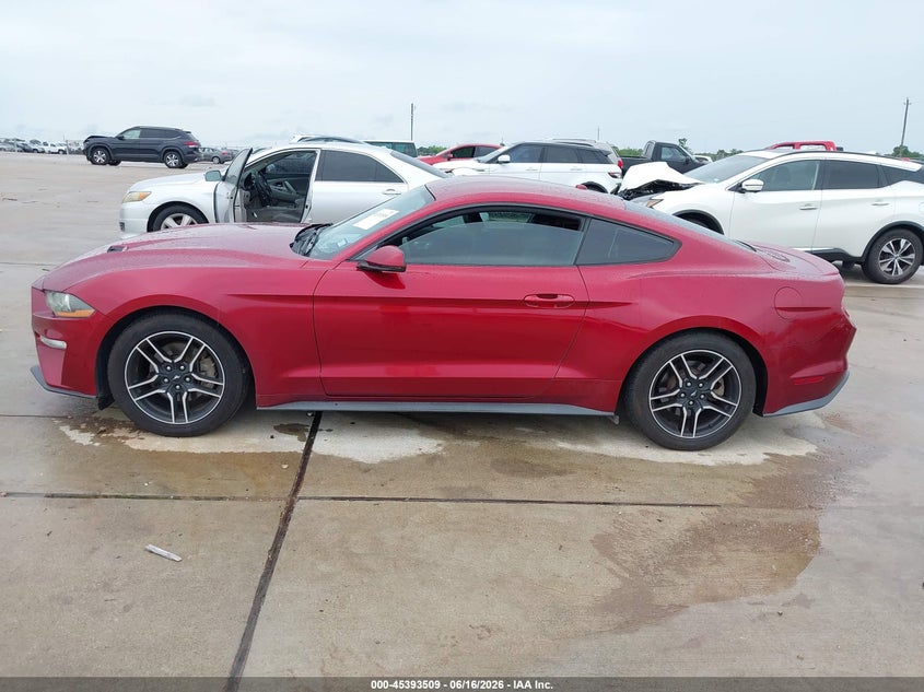 AtlanticExpress - Ford Mustang
