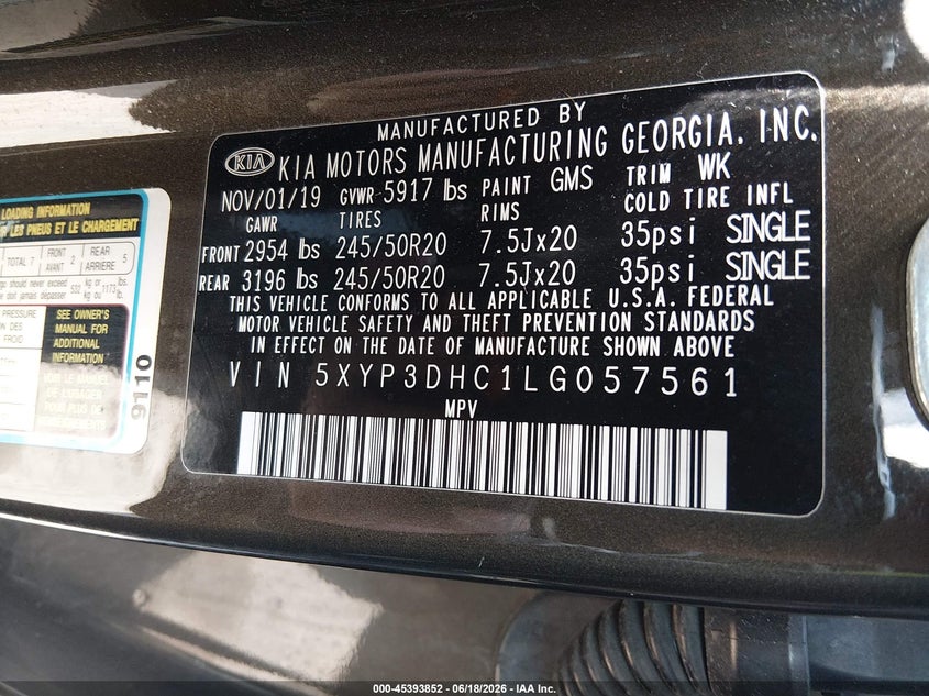 2020 Kia Telluride Ex VIN: 5XYP3DHC1LG057561 Lot: 45393852