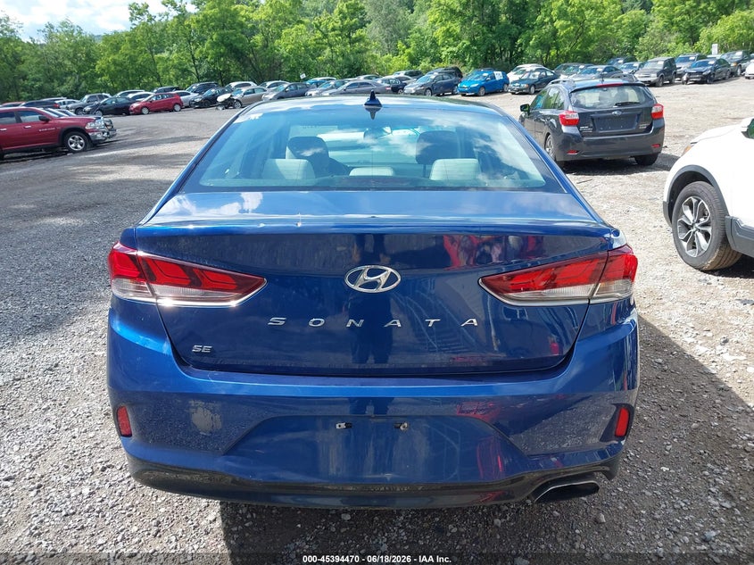 2019 Hyundai Sonata Se VIN: 5NPE24AF9KH747192 Lot: 45394470