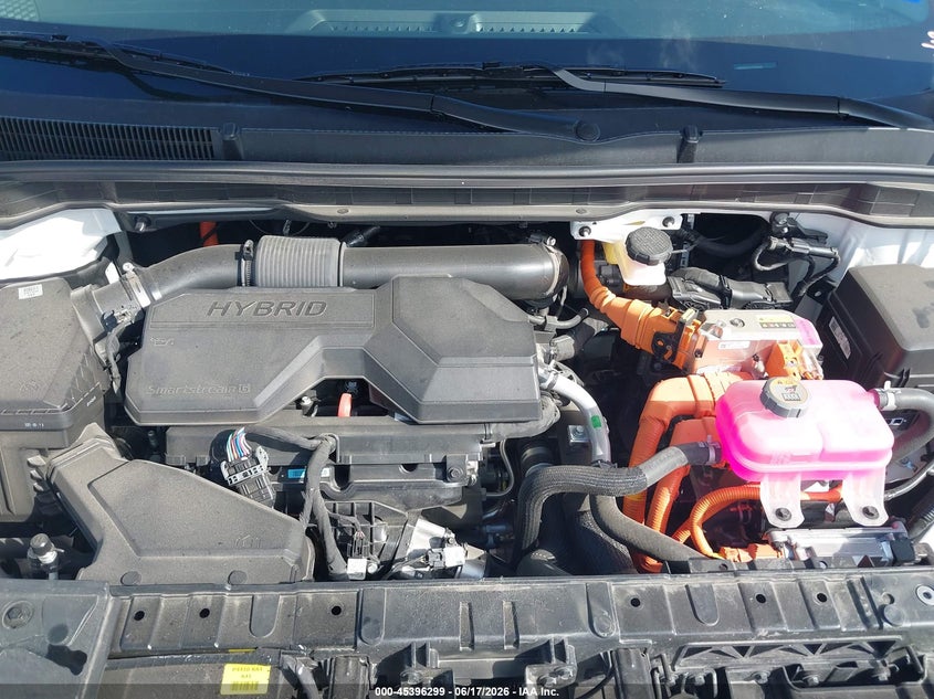 2026 Kia Carnival Mpv Hybrid Lxs VIN: KNDNB5KA1T6130339 Lot: 45396299