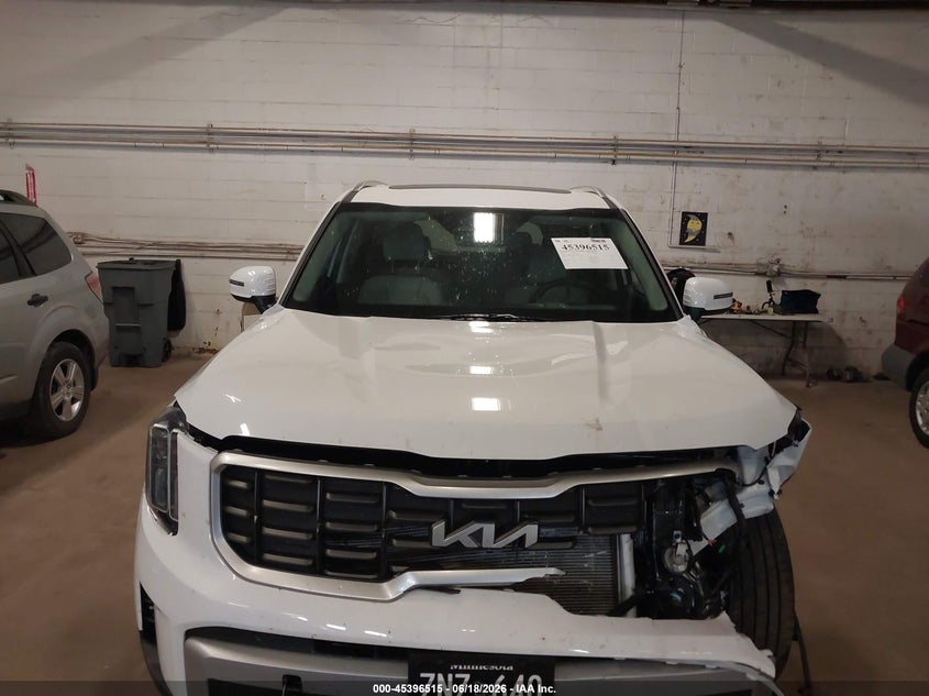 2025 Kia Telluride S VIN: 5XYP6DGC6SG729816 Lot: 45396515