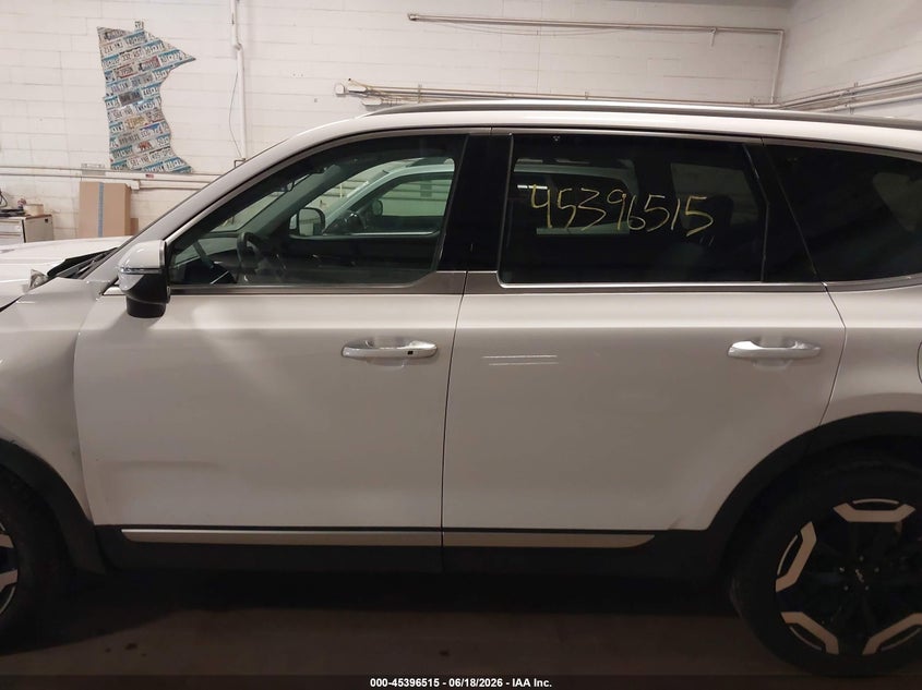 2025 Kia Telluride S VIN: 5XYP6DGC6SG729816 Lot: 45396515