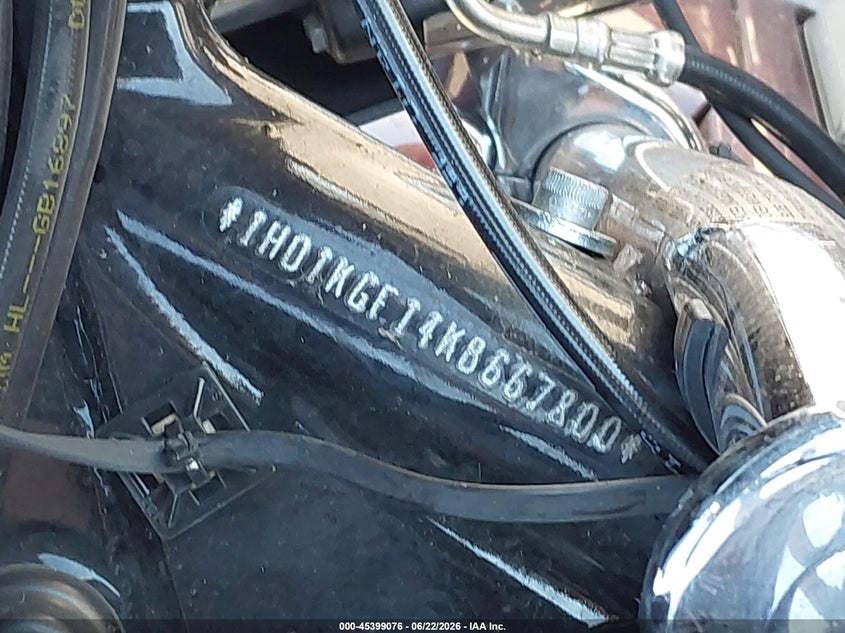 2019 Harley-Davidson Fltru VIN: 1HD1KGF14KB667800 Lot: 45399076